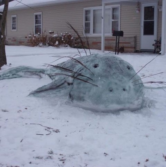 Meet your Posher, Cari - Picture 1 of 1